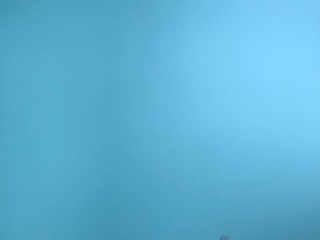 墙、顶面乳胶漆