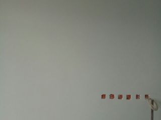 墙、顶面乳胶漆