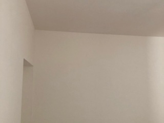墙、顶面乳胶漆
