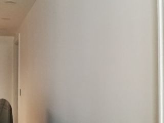 墙、顶面乳胶漆