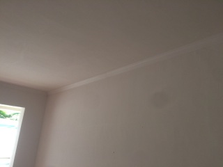 墙、顶面乳胶漆
