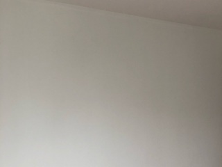 墙、顶面乳胶漆