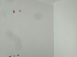 墙、顶面乳胶漆