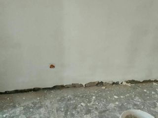 墙、顶面腻子批嵌