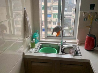 竣工验收