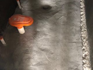日常巡检