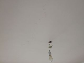 墙、顶面腻子批嵌