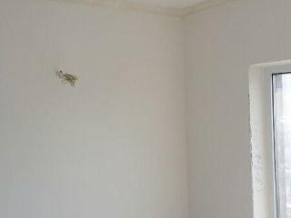 墙、顶面腻子批嵌