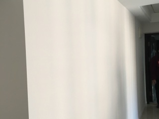 墙、顶面乳胶漆