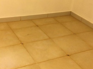 竣工验收