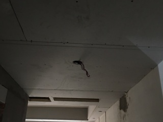 日常巡检