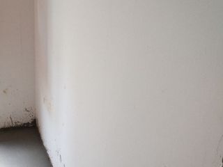 现场木制品造型施作
