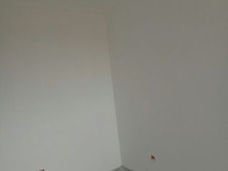 墙、顶面乳胶漆及墙纸铺贴