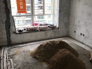 日常巡检