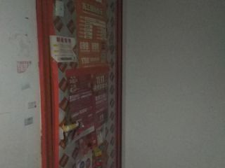 日常巡检