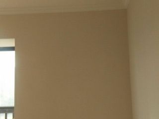 墙、顶面乳胶漆