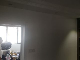 墙、顶面乳胶漆