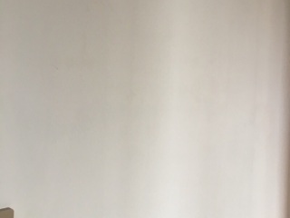 墙、顶面乳胶漆