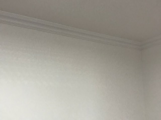 墙、顶面乳胶漆