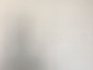 墙、顶面腻子批嵌