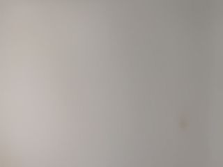 墙、顶面乳胶漆