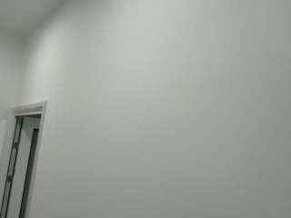 墙、顶面腻子批嵌