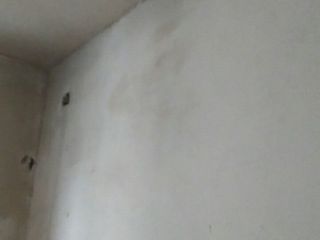 墙、顶面腻子批嵌