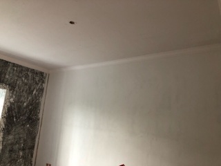 墙、顶面腻子批嵌