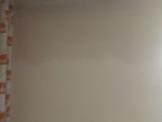 墙、顶面腻子批嵌