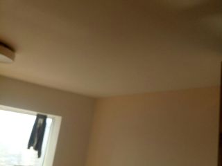 墙、顶面乳胶漆