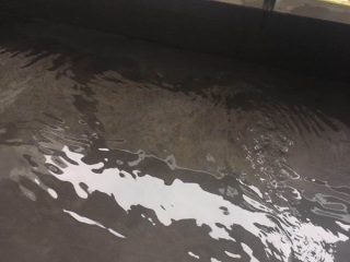 日常巡检