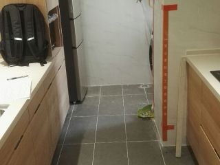 竣工验收