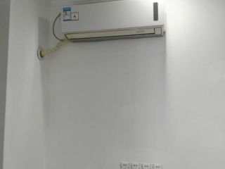 墙、顶面乳胶漆