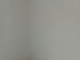 墙、顶面腻子批嵌