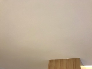 墙、顶面乳胶漆