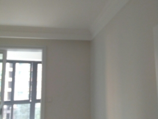 墙、顶面腻子批嵌