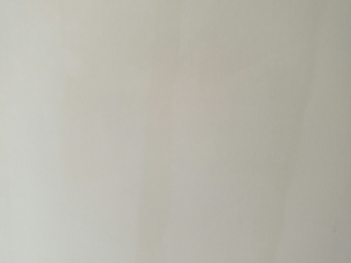 墙、顶面腻子批嵌