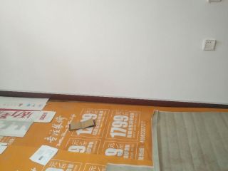 成品门及墙纸铺贴