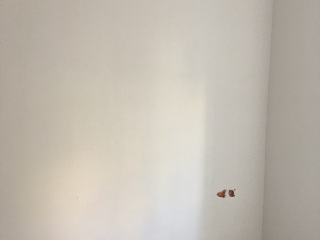墙、顶面乳胶漆