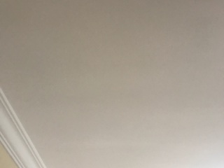 墙、顶面乳胶漆