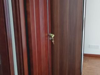 成品门及墙纸铺贴