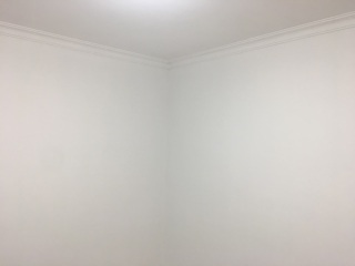 墙、顶面腻子批嵌