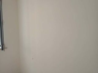 墙、顶面乳胶漆