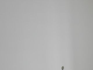 墙、顶面乳胶漆