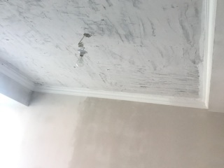 墙、顶面腻子批嵌