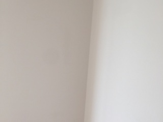 墙、顶面腻子批嵌