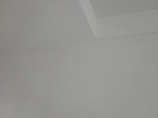 墙、顶面腻子批嵌