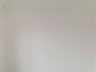 墙、顶面乳胶漆