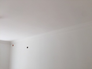 墙、顶面乳胶漆