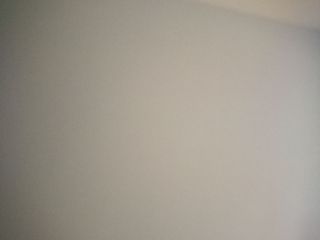 墙、顶面乳胶漆